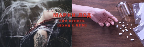 стаф Горнозаводск