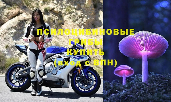 стаф Горнозаводск