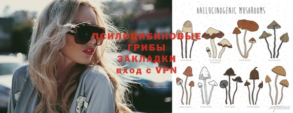 мяу мяу кристалл Горняк
