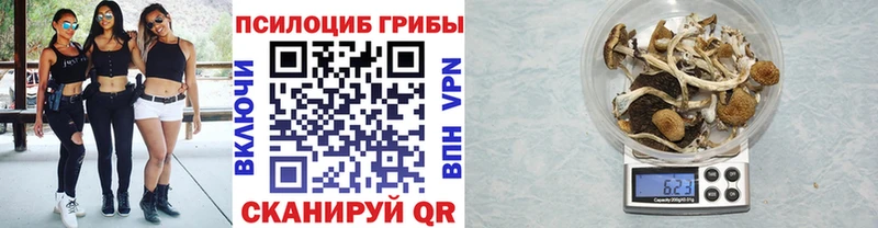 Псилоцибиновые грибы Psilocybine cubensis  Нязепетровск 
